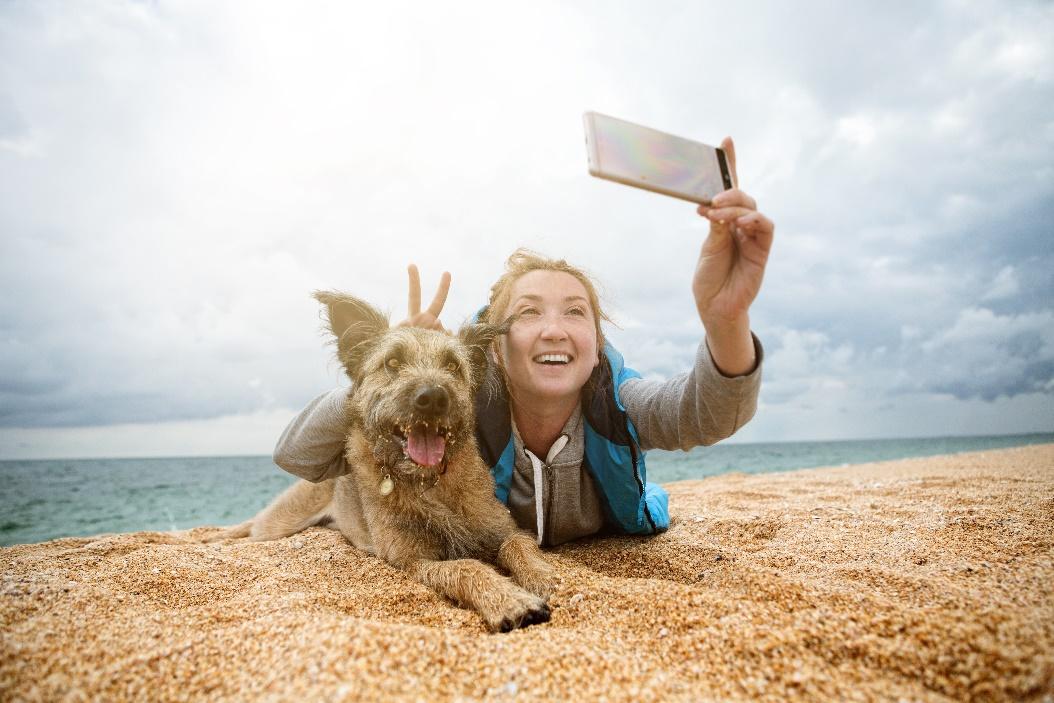 Stress-Free Travel For Pets