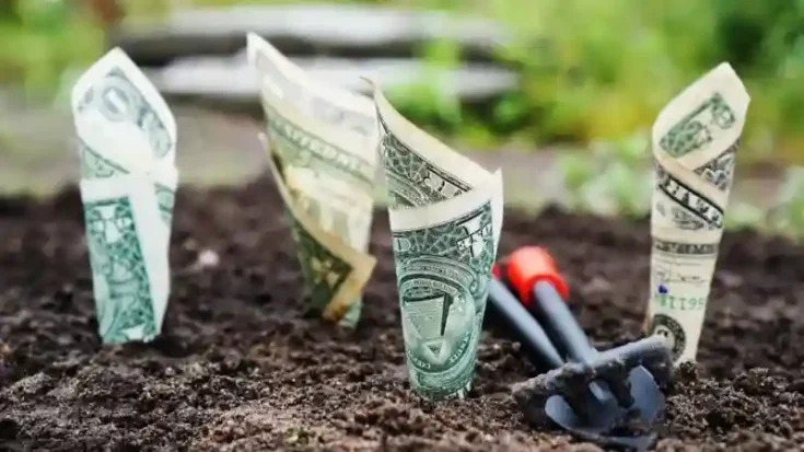 Invest Money During COVID-19