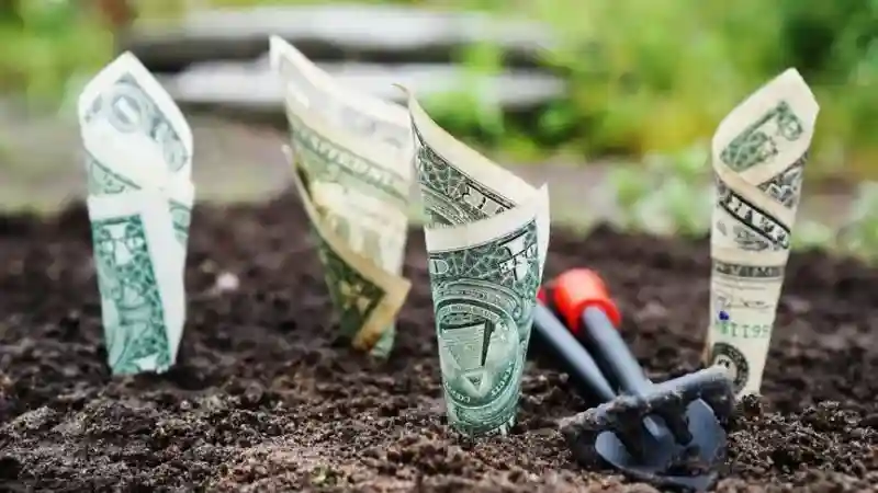 Invest Money During COVID-19