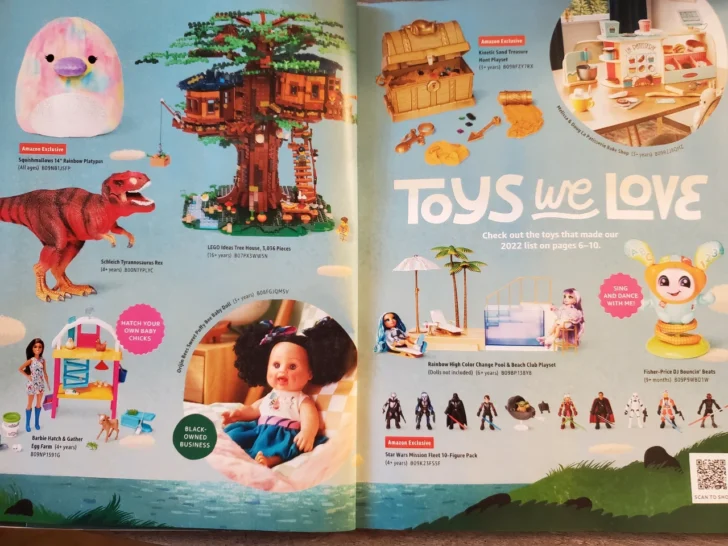 Amazon Toy Catalog What You Want to Know!