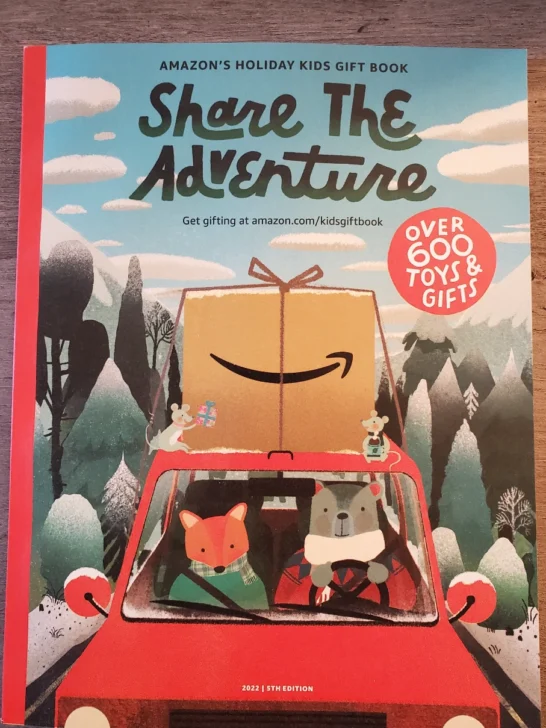 Amazon Toy Catalog What You Want to Know!