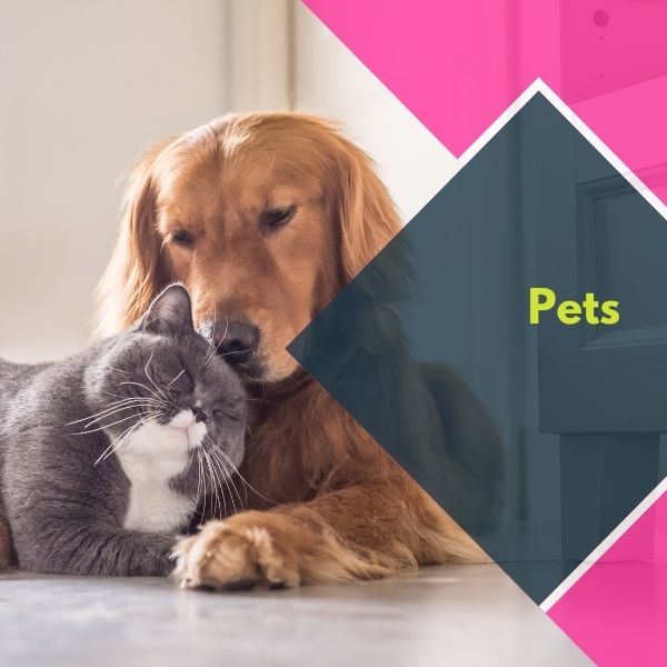pet care buy now pay later