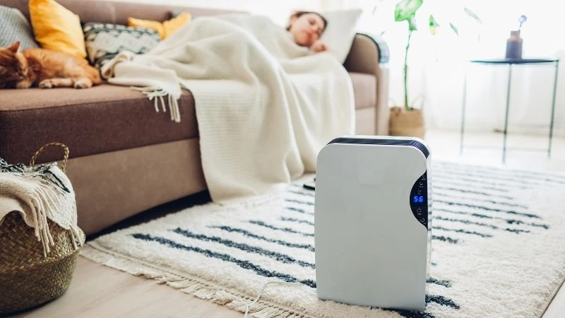 buy now pay later humidifier