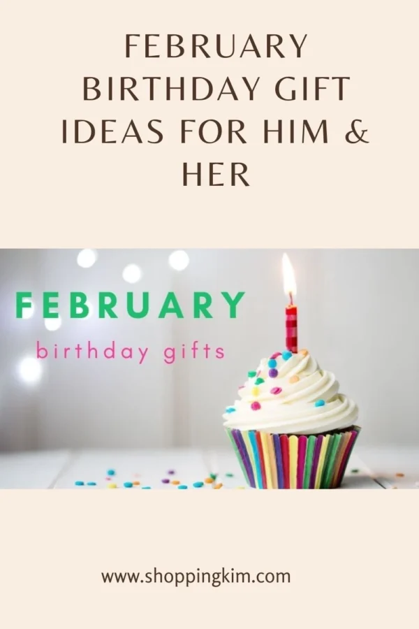 february birthday ideas pin