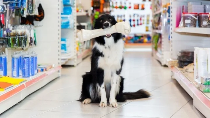 Stores to Buy Now Pay Later Pet Supplies