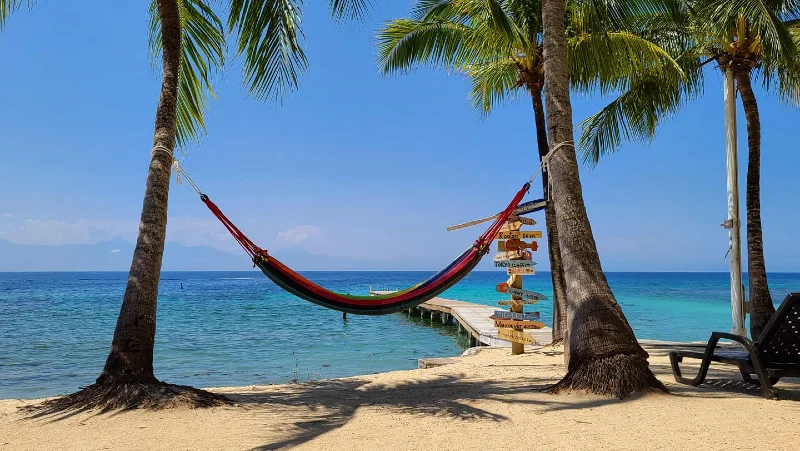 Neptunes Utila by Brad Ryon