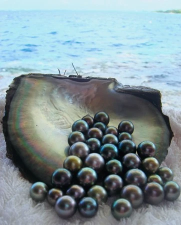 tahitian pearl