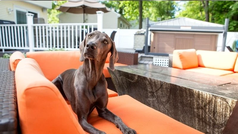 outdoor patio furniture