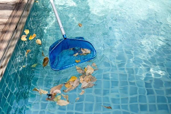 pool skimming