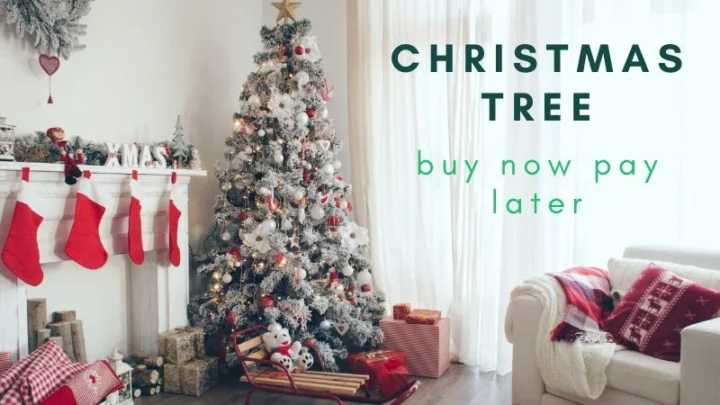 Where to Buy Now Pay Later Christmas Trees
