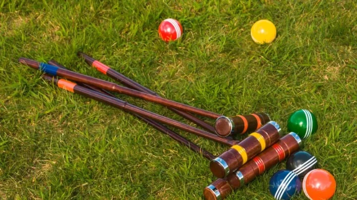 backyard game croquet