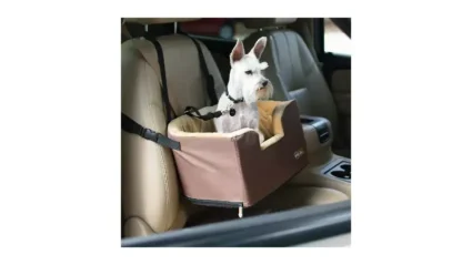 Dog.com Deal