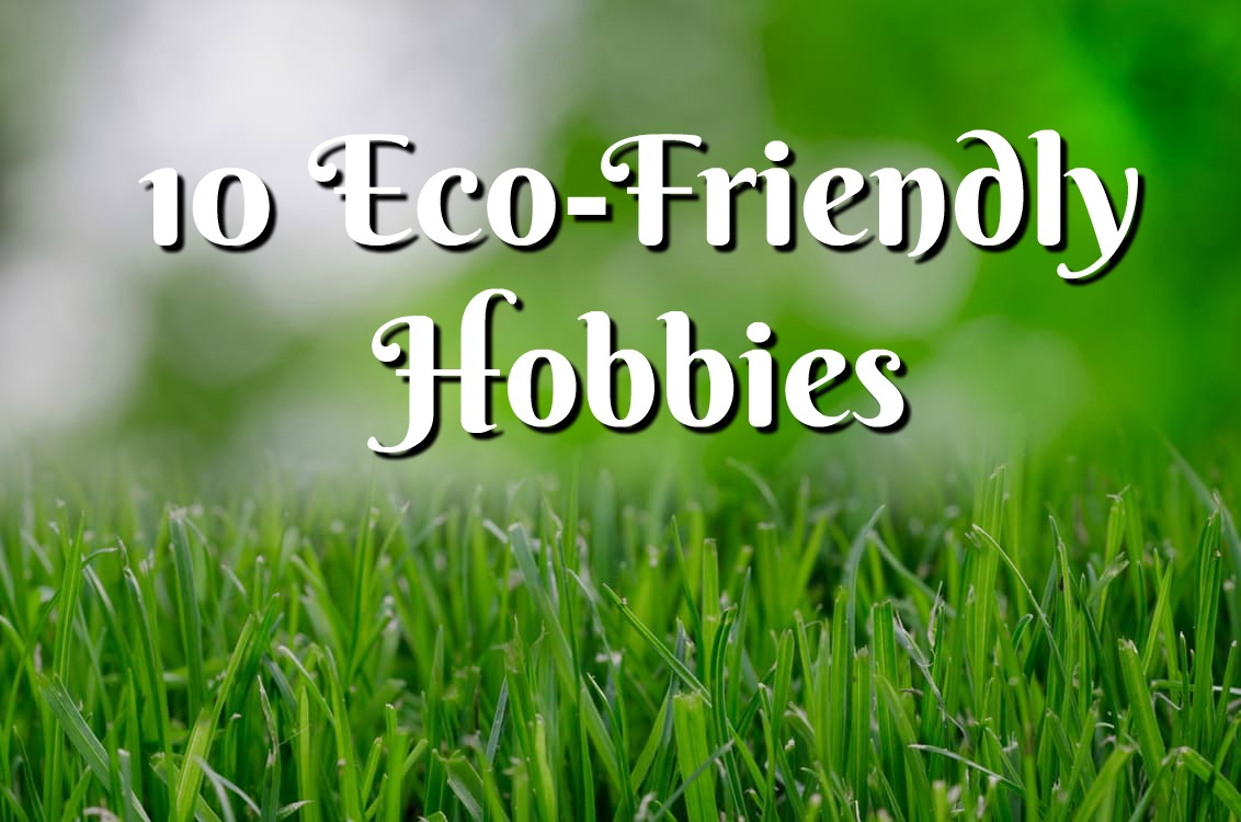10 Eco-Friendly Hobbies